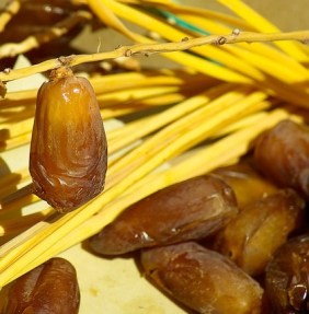 dates-1067265_640