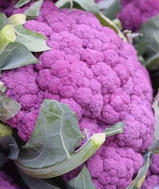 purple_cauliflower-1218701_640